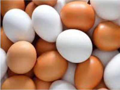 Egg Export